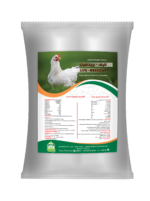 لايف - بريدفيت