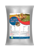 لايف - لايرفيت