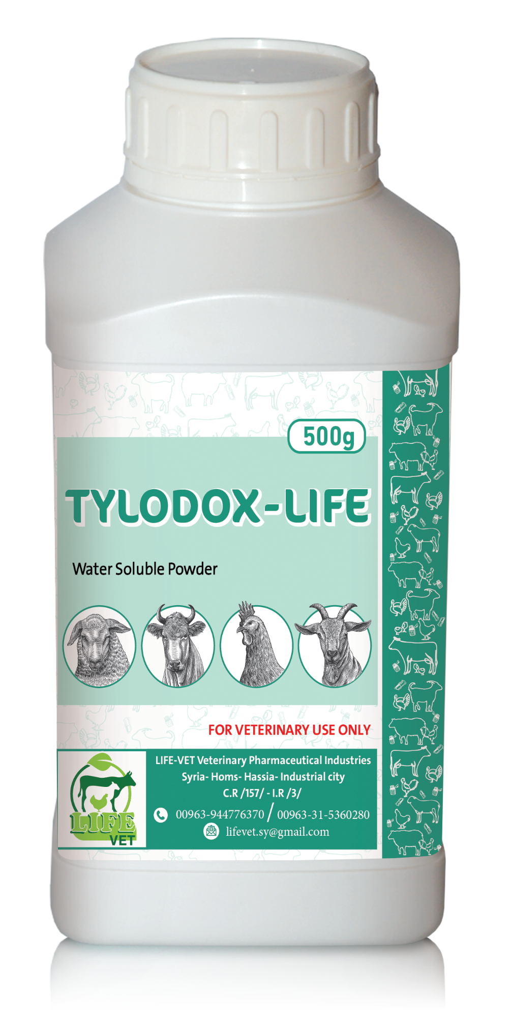 تيلودوكس لايف - الصورة 2