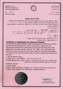 شهادة تسجيل لايف ماميل_page-0001